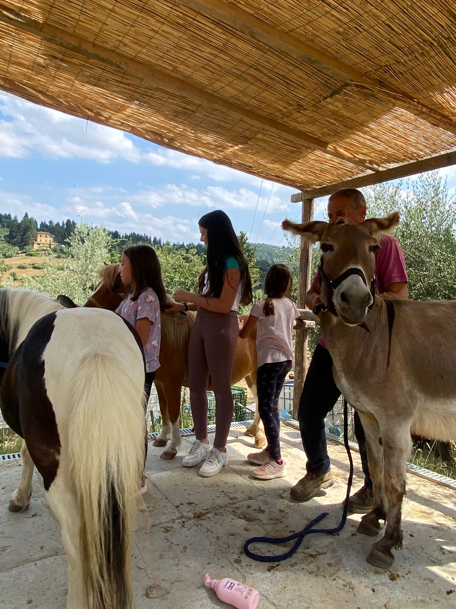 WhatsApp Image 2025-08-19 at 10.09.59 (1)