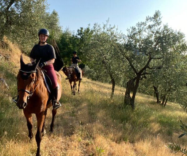 WhatsApp Image 2025-06-20 at 10.57.30