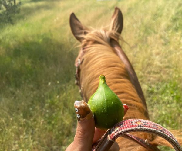 WhatsApp Image 2025-06-20 at 10.57.32 (1)