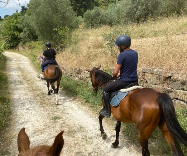 WhatsApp Image 2025-06-20 at 10.57.40